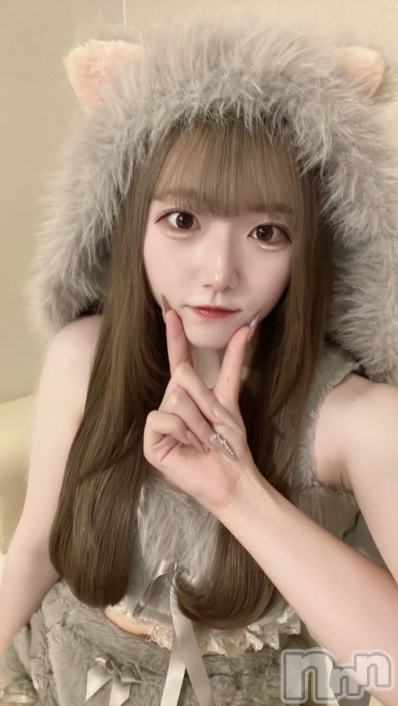 新潟駅前スナック・ガールズバーコンセプトカフェ あにまる宮殿(コンセプトカフェアニマルキュウデン) せらの10月30日写メブログ「10月30日 20時33分のブログ」