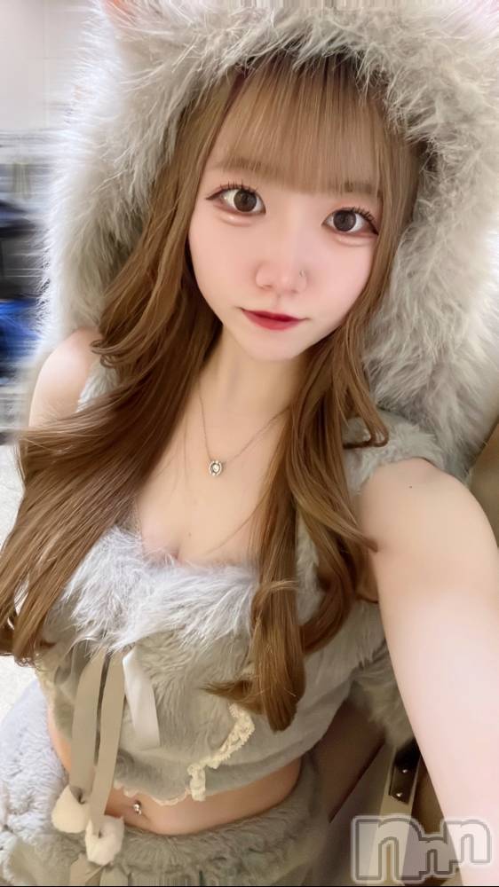 ʥå륺С󥻥ץȥե ˤޤ(󥻥ץȥե˥ޥ륭奦ǥ) 1123̥֥1123 2319ʬΥ֥