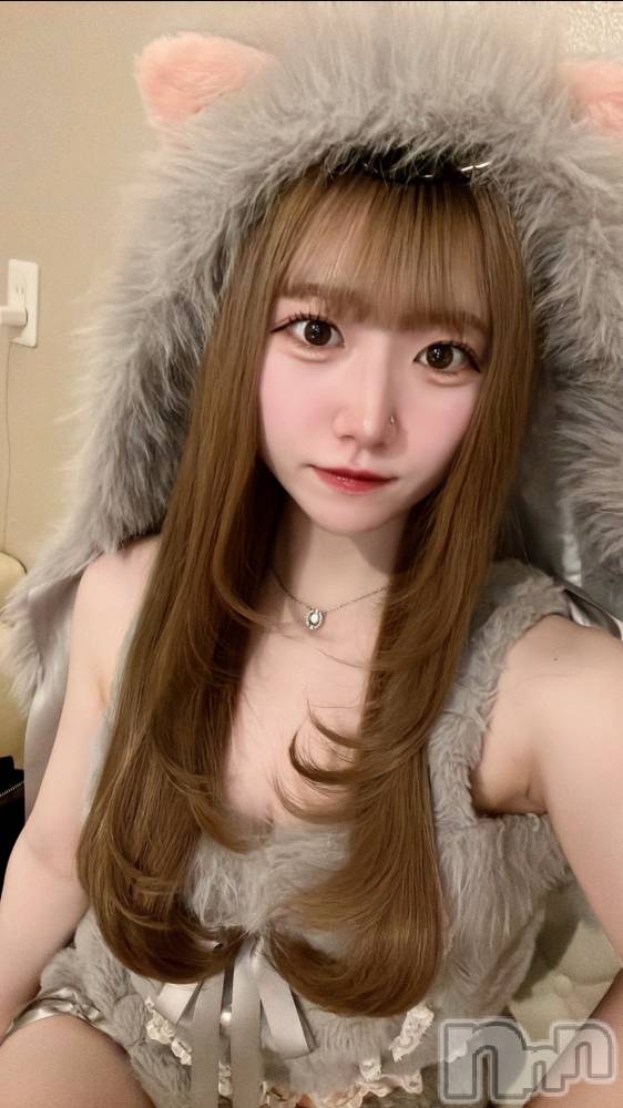 ʥå륺С󥻥ץȥե ˤޤ(󥻥ץȥե˥ޥ륭奦ǥ) 1125̥֥1125 2209ʬΥ֥