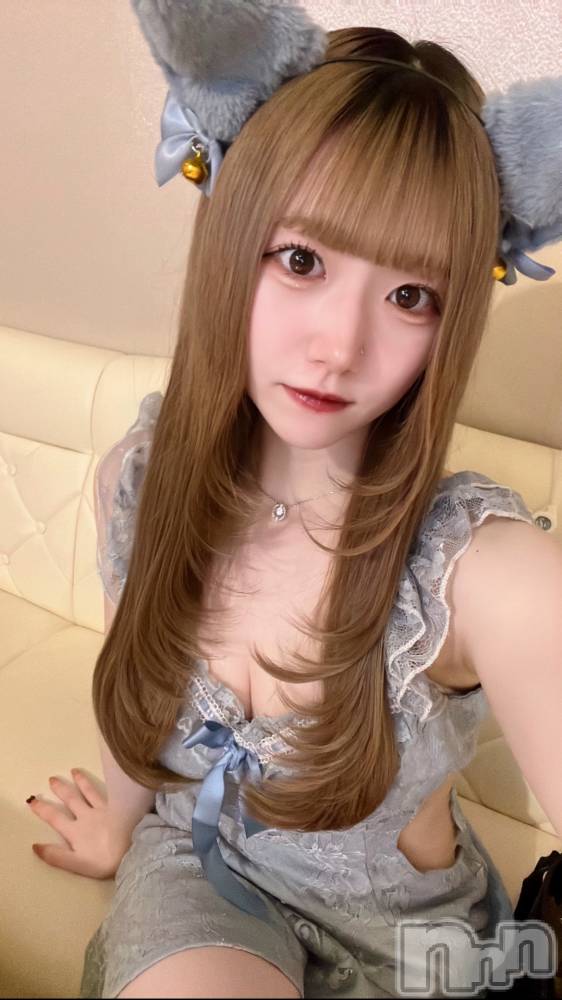 ʥå륺С󥻥ץȥե ˤޤ(󥻥ץȥե˥ޥ륭奦ǥ) 1126̥֥1126 1531ʬΥ֥