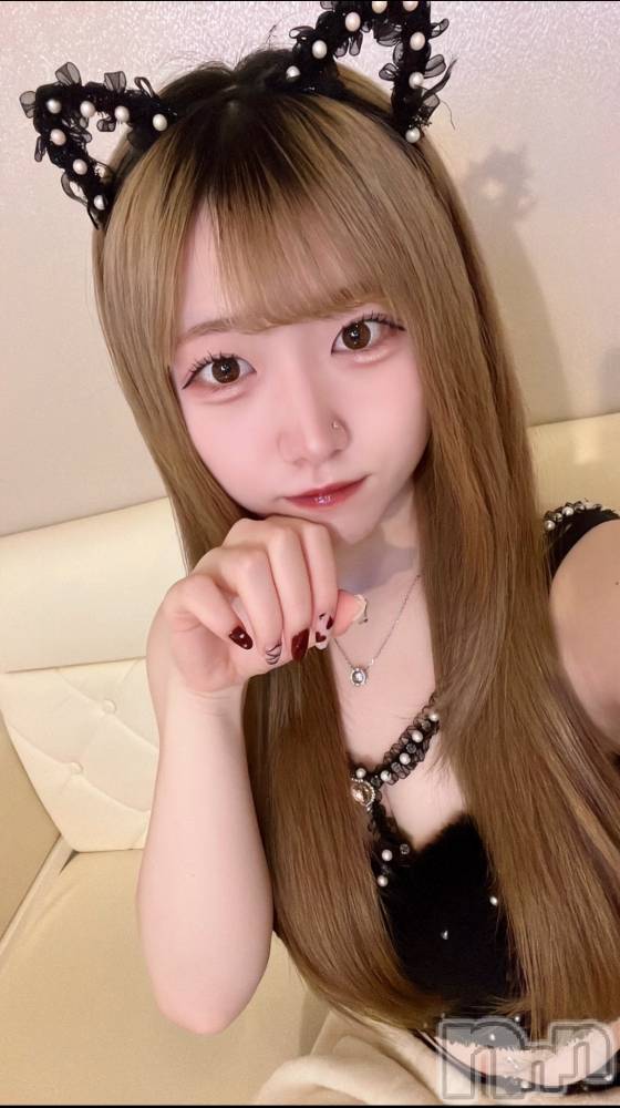 ʥå륺С󥻥ץȥե ˤޤ(󥻥ץȥե˥ޥ륭奦ǥ) 128̥֥128 1632ʬΥ֥