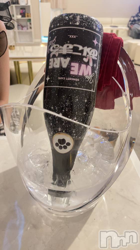 ʥå륺С󥻥ץȥե ˤޤ(󥻥ץȥե˥ޥ륭奦ǥ) 1212̥֥1212 2354ʬΥ֥