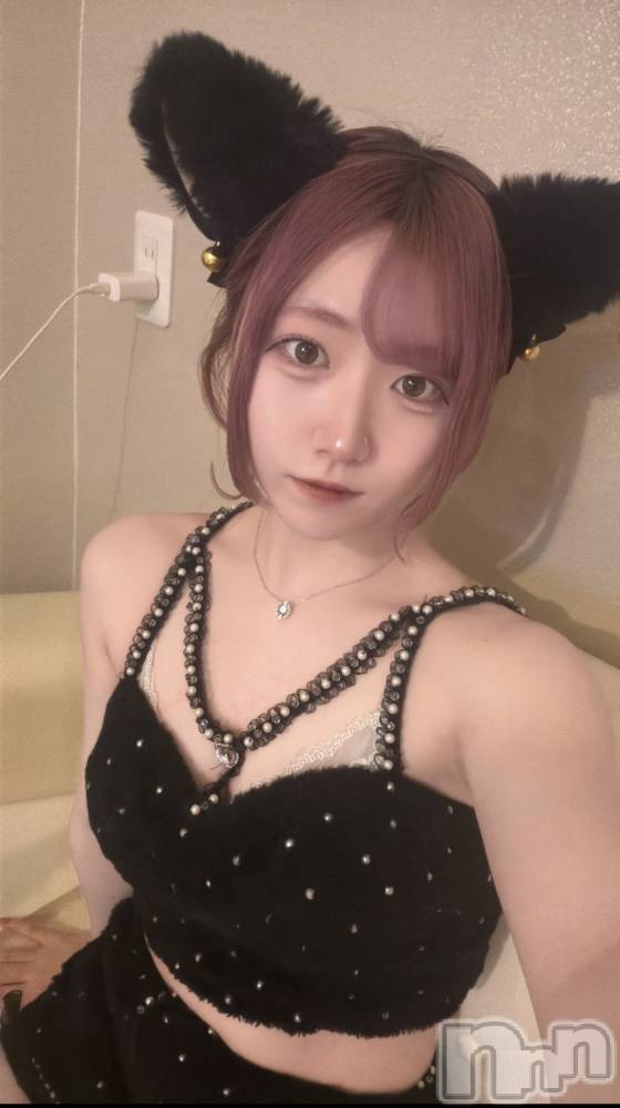 ����������ʥå��������륺�С����󥻥ץȥ��ե� ���ˤޤ����(���󥻥ץȥ��ե����˥ޥ륭�奦�ǥ�) �����4��1���̥�֥�����4��1�� 20��39ʬ�Υ֥�����