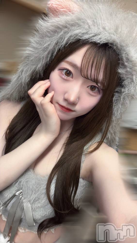 ����������ʥå��������륺�С����󥻥ץȥ��ե� ���ˤޤ����(���󥻥ץȥ��ե����˥ޥ륭�奦�ǥ�) �����6��12���̥�֥�����6��12�� 21��06ʬ�Υ֥�����