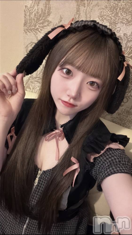 ����������ʥå��������륺�С����󥻥ץȥ��ե� ���ˤޤ����(���󥻥ץȥ��ե����˥ޥ륭�奦�ǥ�) �����8��8���̥�֥�����8��8�� 20��10ʬ�Υ֥�����
