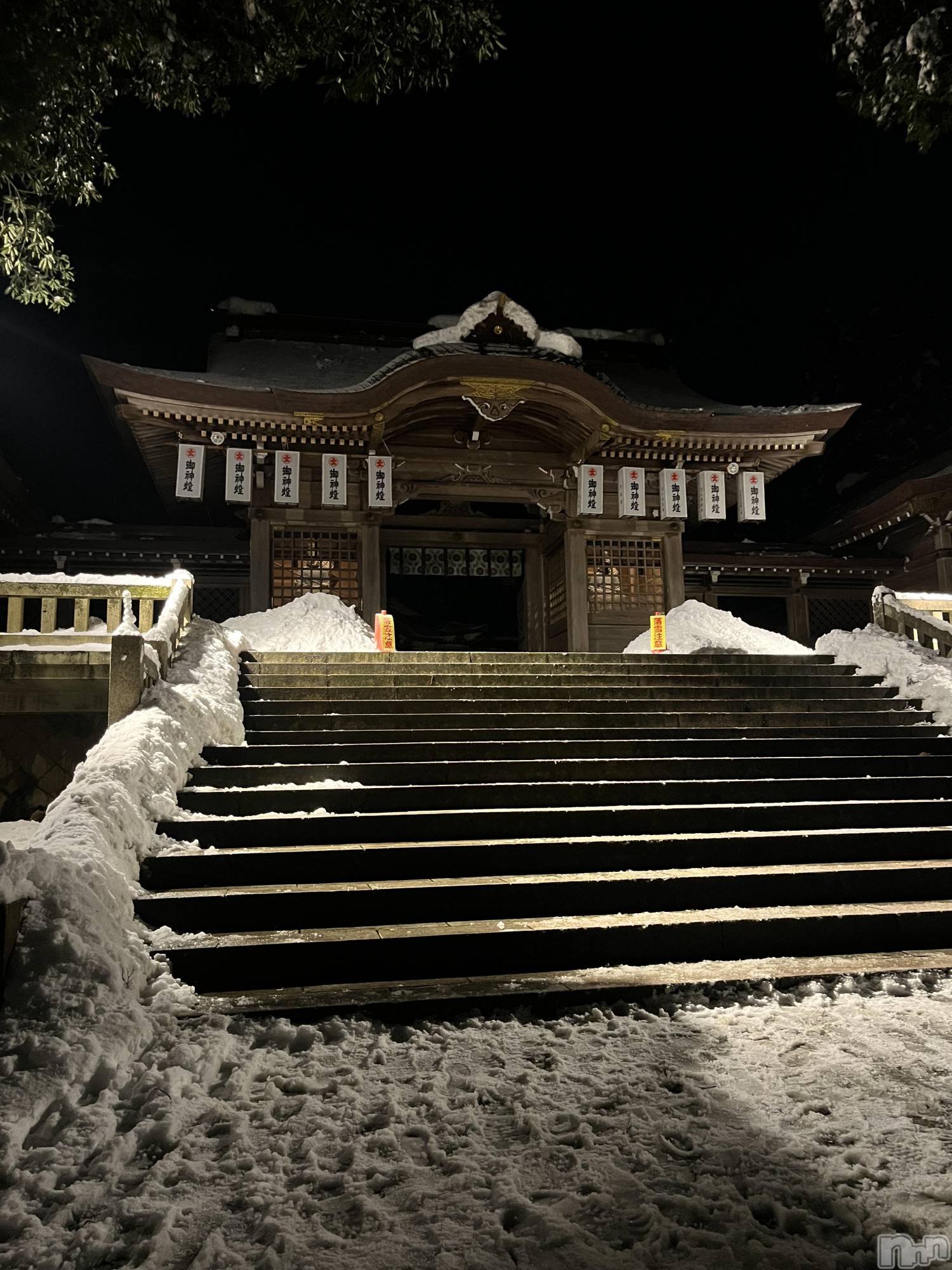 ����������ʥå��������륺�С����󥻥ץȥ��ե� ���ˤޤ����(���󥻥ץȥ��ե����˥ޥ륭�奦�ǥ�) ��2026ǯ1��7���̥�֥�����1��7�� 03��40ʬ�Υ֥�����