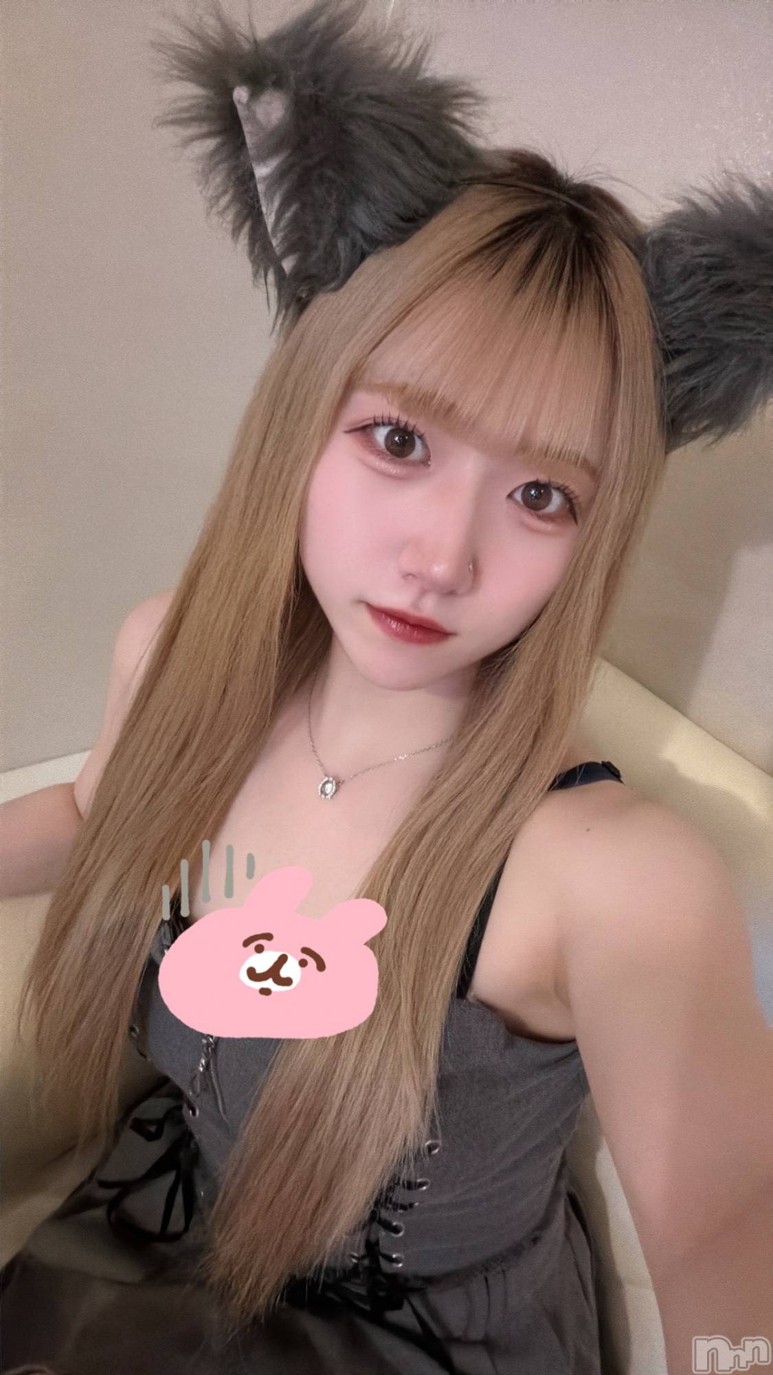 ����������ʥå��������륺�С����󥻥ץȥ��ե� ���ˤޤ����(���󥻥ץȥ��ե����˥ޥ륭�奦�ǥ�) ��2026ǯ2��15���̥�֥�����2��15�� 21��54ʬ�Υ֥�����