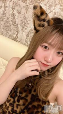 ʥå륺С󥻥ץȥե ˤޤ(󥻥ץȥե˥ޥ륭奦ǥ) 1226̥֥1226 2338ʬΥ֥
