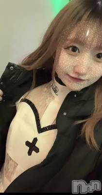 ʥå륺С󥻥ץȥե ˤޤ(󥻥ץȥե˥ޥ륭奦ǥ) 12̥֥12 1658ʬΥ֥