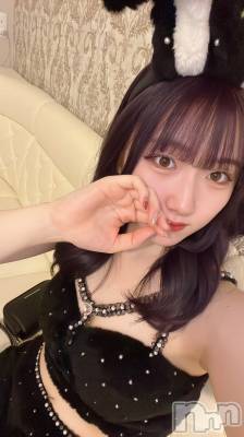 ʥå륺С󥻥ץȥե ˤޤ(󥻥ץȥե˥ޥ륭奦ǥ) 123̥֥123 1237ʬΥ֥