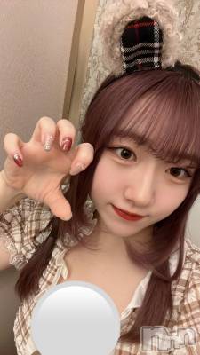 ʥå륺С󥻥ץȥե ˤޤ(󥻥ץȥե˥ޥ륭奦ǥ) 26̥֥26 2129ʬΥ֥