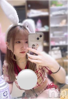 ʥå륺С󥻥ץȥե ˤޤ(󥻥ץȥե˥ޥ륭奦ǥ) 33̥֥33 1537ʬΥ֥