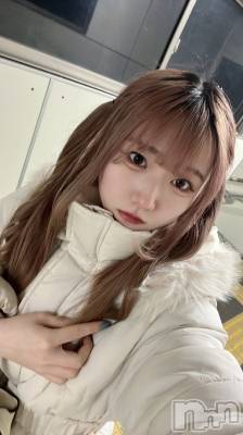 ʥå륺С󥻥ץȥե ˤޤ(󥻥ץȥե˥ޥ륭奦ǥ) 37̥֥37 2356ʬΥ֥