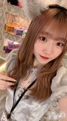 ʥå륺С󥻥ץȥե ˤޤ(󥻥ץȥե˥ޥ륭奦ǥ) 311̥֥311 0034ʬΥ֥