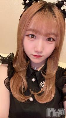ʥå륺С󥻥ץȥե ˤޤ(󥻥ץȥե˥ޥ륭奦ǥ) 317̥֥317 1544ʬΥ֥
