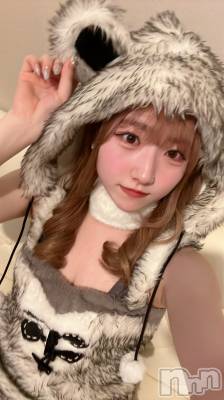 ʥå륺С󥻥ץȥե ˤޤ(󥻥ץȥե˥ޥ륭奦ǥ) 320̥֥320 0033ʬΥ֥