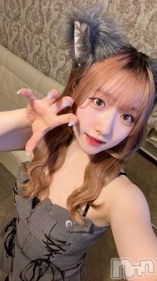 ʥå륺С󥻥ץȥե ˤޤ(󥻥ץȥե˥ޥ륭奦ǥ) 324̥֥324 0244ʬΥ֥