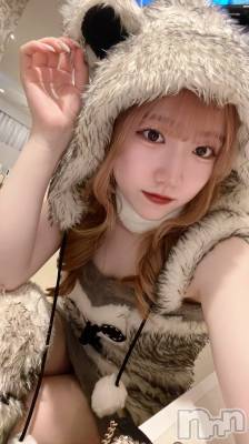 ʥå륺С󥻥ץȥե ˤޤ(󥻥ץȥե˥ޥ륭奦ǥ) 328̥֥328 0314ʬΥ֥