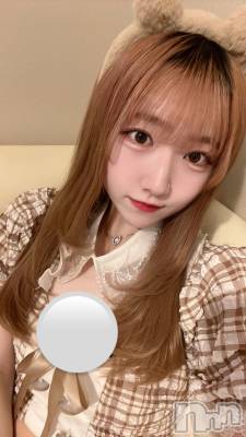 ʥå륺С󥻥ץȥե ˤޤ(󥻥ץȥե˥ޥ륭奦ǥ) 331̥֥331 2335ʬΥ֥