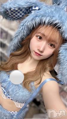 ʥå륺С󥻥ץȥե ˤޤ(󥻥ץȥե˥ޥ륭奦ǥ) 44̥֥44 0403ʬΥ֥