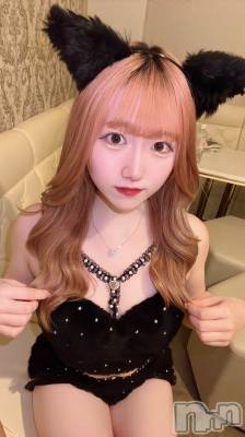ʥå륺С󥻥ץȥե ˤޤ(󥻥ץȥե˥ޥ륭奦ǥ) 520̥֥520 1247ʬΥ֥