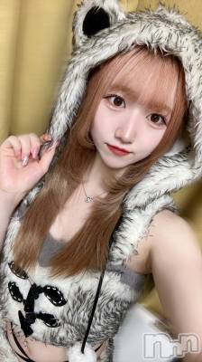 ʥå륺С󥻥ץȥե ˤޤ(󥻥ץȥե˥ޥ륭奦ǥ) 521̥֥521 2329ʬΥ֥