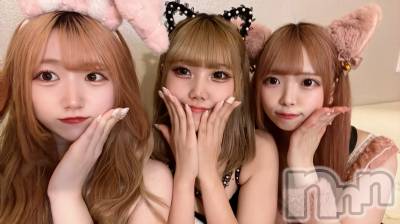 ʥå륺С󥻥ץȥե ˤޤ(󥻥ץȥե˥ޥ륭奦ǥ) 531̥֥531 2006ʬΥ֥
