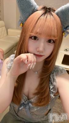 ʥå륺С󥻥ץȥե ˤޤ(󥻥ץȥե˥ޥ륭奦ǥ) 531̥֥531 2233ʬΥ֥