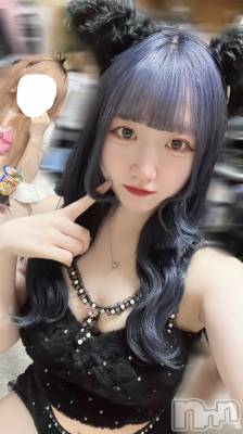 ʥå륺С󥻥ץȥե ˤޤ(󥻥ץȥե˥ޥ륭奦ǥ) 77̥֥77 1806ʬΥ֥