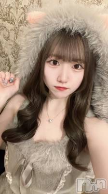 ʥå륺С󥻥ץȥե ˤޤ(󥻥ץȥե˥ޥ륭奦ǥ) 719̥֥719 2137ʬΥ֥