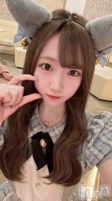 ʥå륺С󥻥ץȥե ˤޤ(󥻥ץȥե˥ޥ륭奦ǥ) 724̥֥724 0110ʬΥ֥