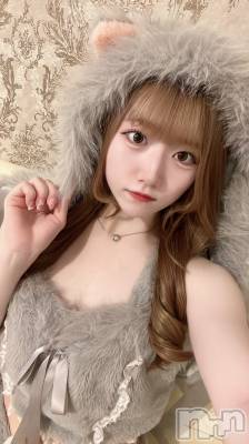ʥå륺С󥻥ץȥե ˤޤ(󥻥ץȥե˥ޥ륭奦ǥ) 94̥֥94 0114ʬΥ֥
