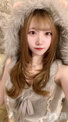 ʥå륺С󥻥ץȥե ˤޤ(󥻥ץȥե˥ޥ륭奦ǥ) 914̥֥914 2327ʬΥ֥