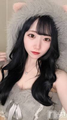 ʥå륺С󥻥ץȥե ˤޤ(󥻥ץȥե˥ޥ륭奦ǥ) 919̥֥919 2254ʬΥ֥