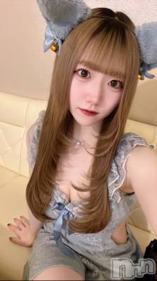 ʥå륺С󥻥ץȥե ˤޤ(󥻥ץȥե˥ޥ륭奦ǥ) 1126̥֥1126 1531ʬΥ֥