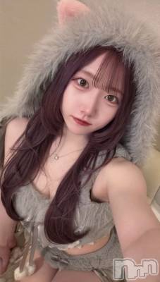 ����(�ҥߥ�) ��Ĺ�ҥߥġ�����������ʥå��������륺�С� ���󥻥ץȥ��ե� ���ˤޤ����(���󥻥ץȥ��ե����˥ޥ륭�奦�ǥ�)���ҡ�