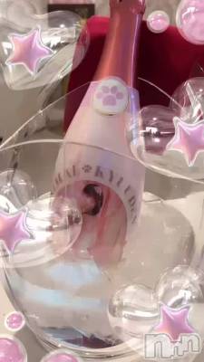 12��31�� 16��28ʬ�Υ֥���