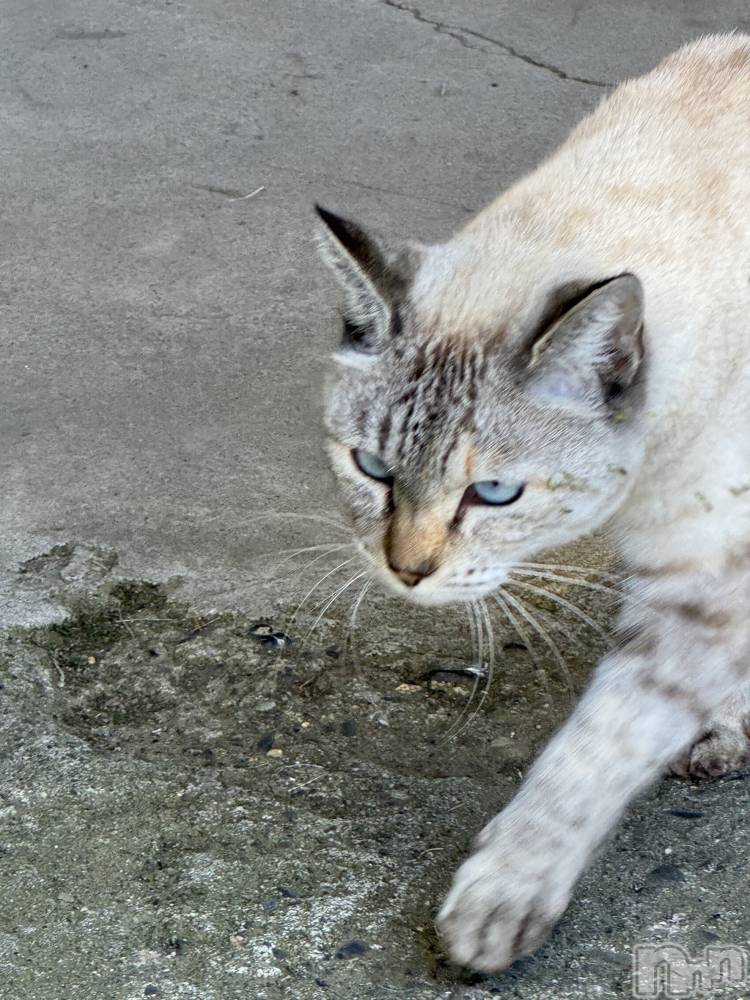 ƲХ顦Lounge Veranda(饦󥸥٥) 1014ֽ̥֥жФƤޤ