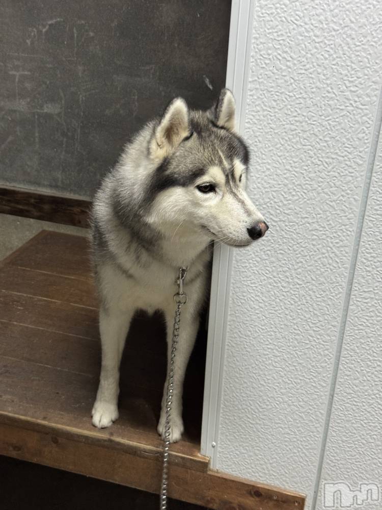 ƲХ顦Lounge Veranda(饦󥸥٥) 1022ֽ̥֥жФޤ