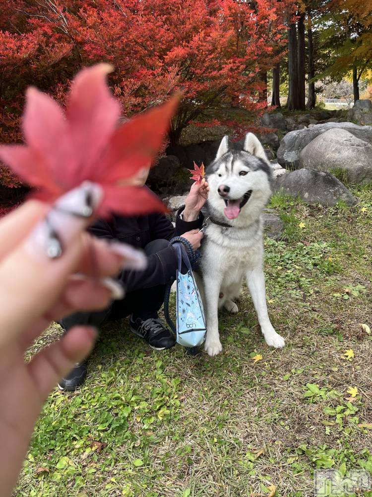 ƲХ顦Lounge Veranda(饦󥸥٥) 1111ֵ̥֥סжС