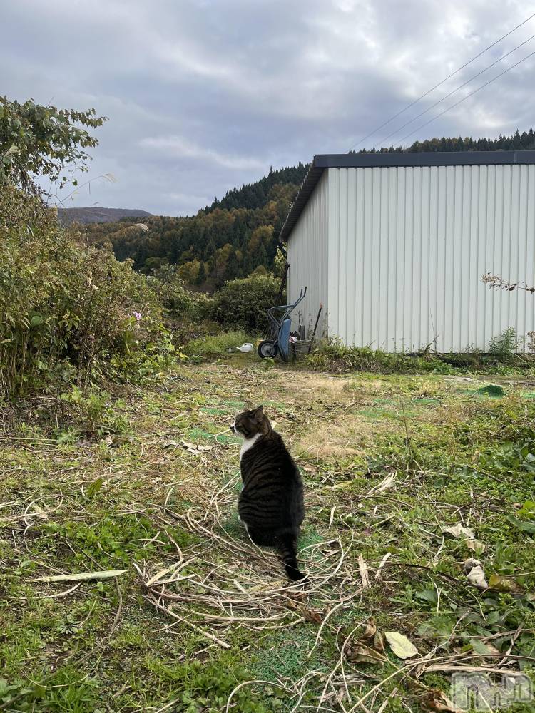 ƲХ顦Lounge Veranda(饦󥸥٥) 128ֽ̥֥жС