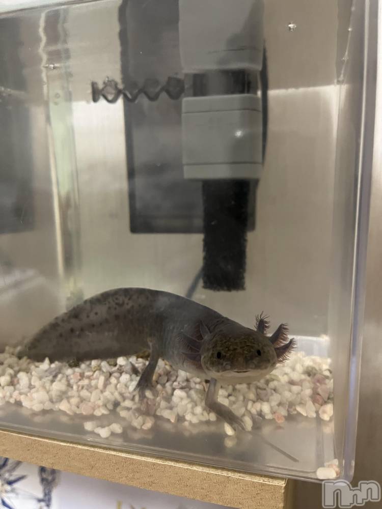 ��Ʋ����Х��顦�����Lounge Veranda(�饦�󥸥٥���) ����1��10���̥�֥����ֽжХ��ѡ���