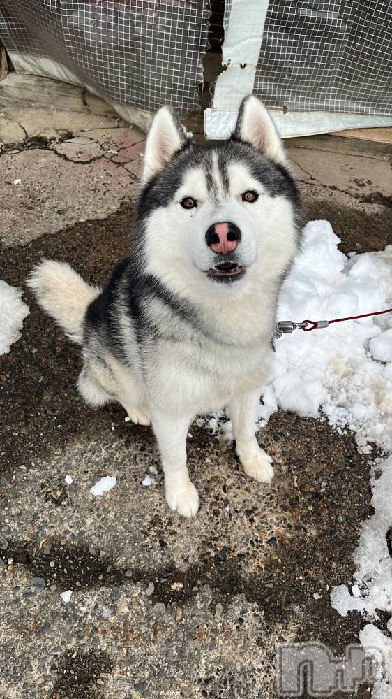 ��Ʋ����Х��顦�����Lounge Veranda(�饦�󥸥٥���) ����2��6���̥�֥����ֽжС���