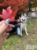 ƲХ顦Lounge Veranda(饦󥸥٥) 1111ֵ̥֥סжС