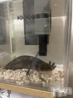 ��Ʋ����Х��顦�����Lounge Veranda(�饦�󥸥٥���) ����1��10���̥�֥����ֽжХ��ѡ���