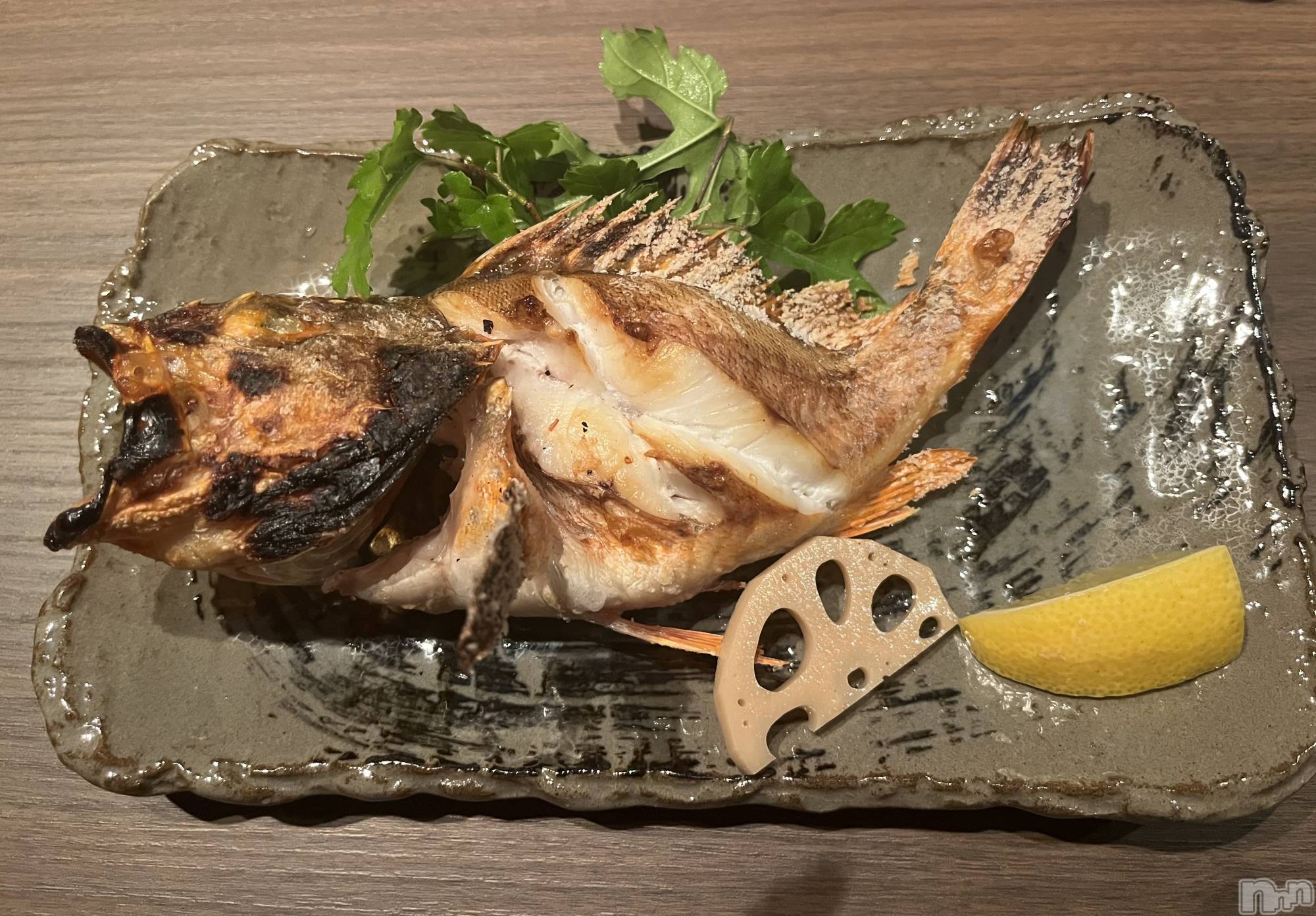 ƲХ顦Lounge Veranda(饦󥸥٥) 2025ǯ531ֽ̥֥жФƤޤ