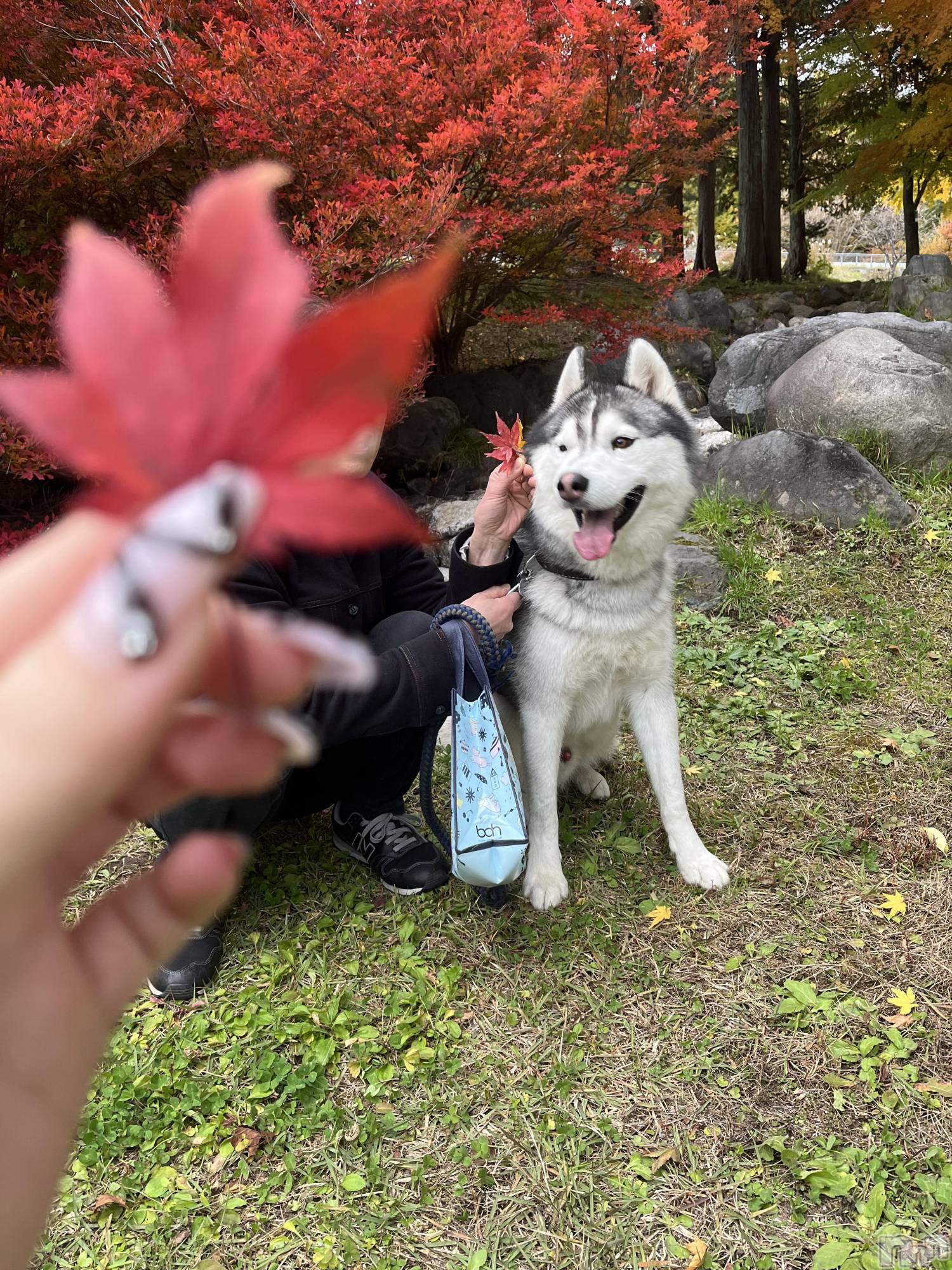 ƲХ顦Lounge Veranda(饦󥸥٥) 2025ǯ1111ֵ̥֥סжС