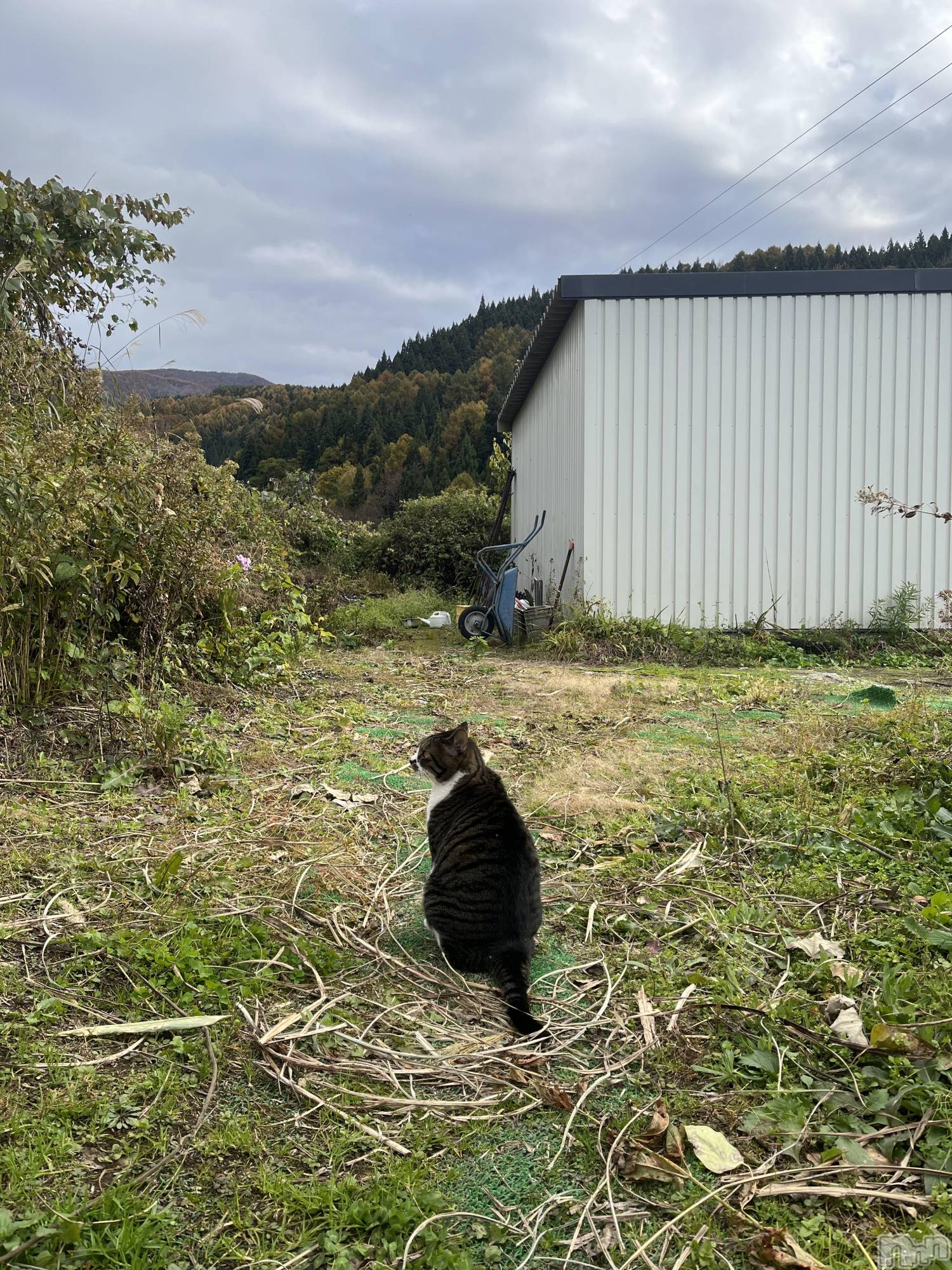 ƲХ顦Lounge Veranda(饦󥸥٥) 2025ǯ128ֽ̥֥жС