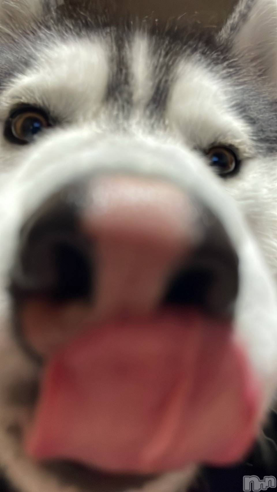 ��Ʋ����Х��顦�����Lounge Veranda(�饦�󥸥٥���) ��2025ǯ12��29���̥�֥��������ߤ��Ҥɤ�😢��