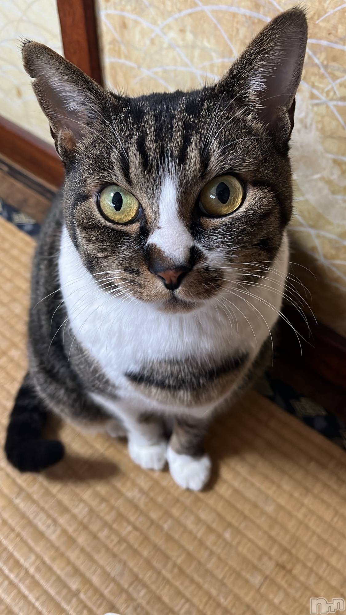 ��Ʋ����Х��顦�����Lounge Veranda(�饦�󥸥٥���) ��2026ǯ2��7���̥�֥����ֽжФǤ�����